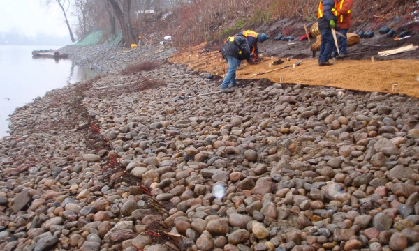 Stabilisation de berges à l’aide de techniques du génie végétal et génie civil | Rivière Saint-Mauricie